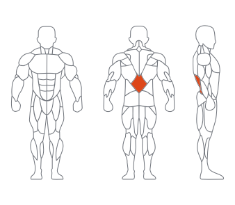 LD1031腰部后压训练器 副本.png LD1031腰部后压训练器 副本.png
