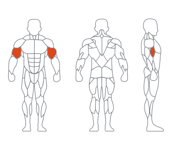 LS029 45度二头肌训练器