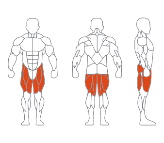LS-008调节式蹬腿练习器 LS-008调节式蹬腿练习器